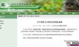 二狗爆料谢航视频播放在线观看,谢航视频在线播放，独家揭秘幕后真相